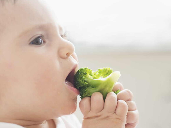 Bébé mange du brocoli